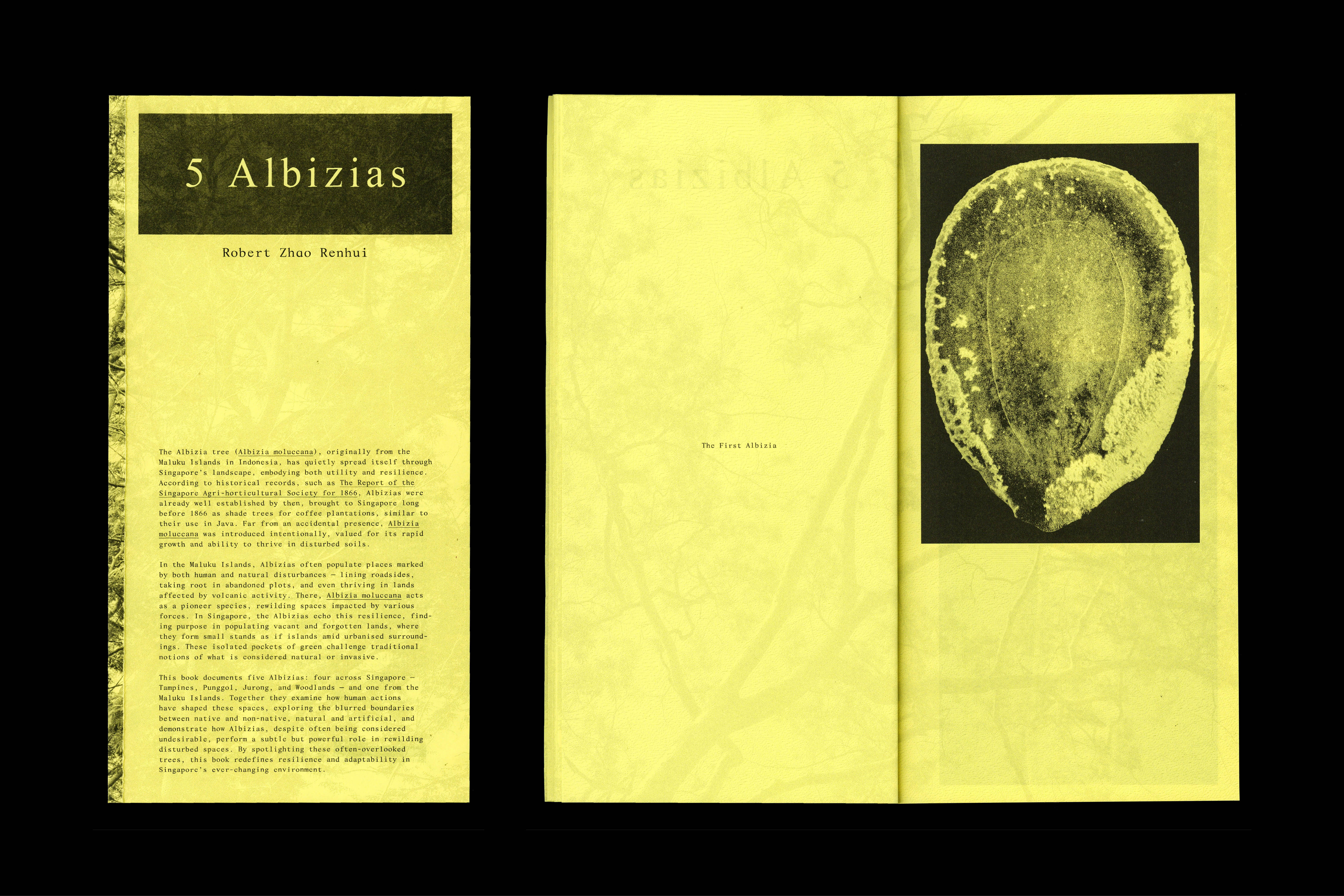 875 5 Albizias (artist publication), for Robert Zhao Renhui